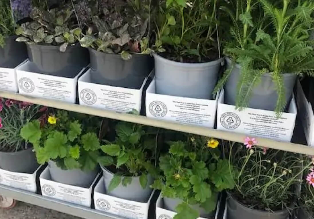 Plants in pots shown boxed in Tri Pack Packaging.