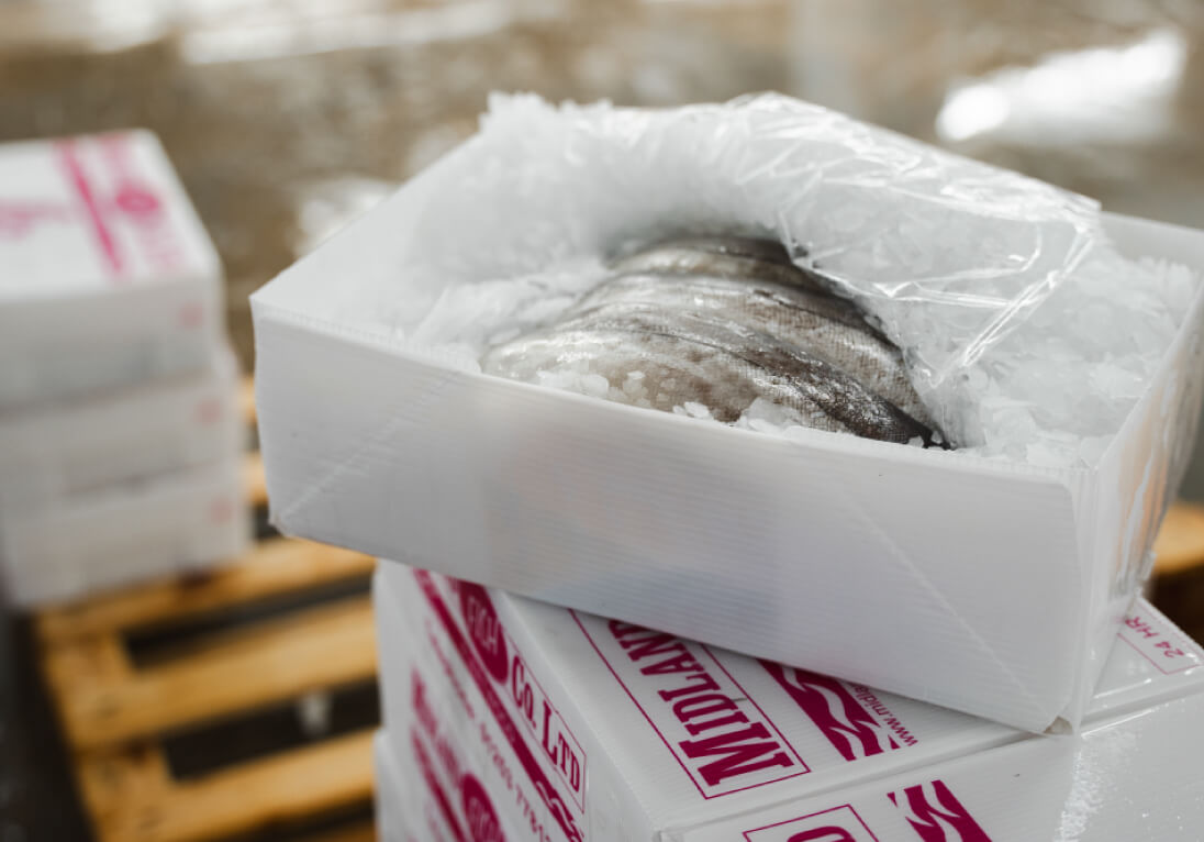 Frozen Fish Fillets From Midland Shown In Tri Pack Packaging