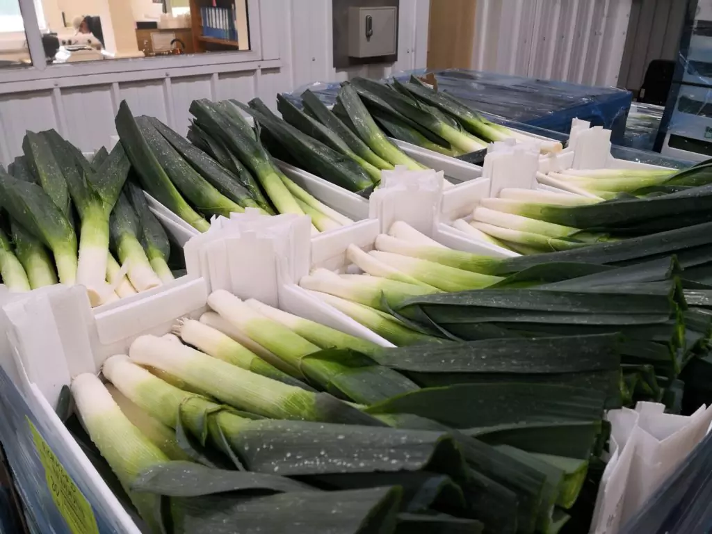 Seddons Leeks boxes showing leeks