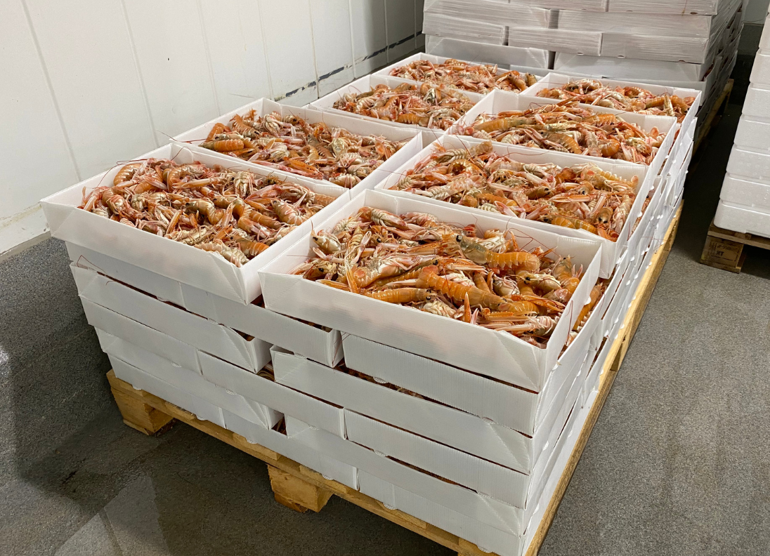 Langoustine packaging