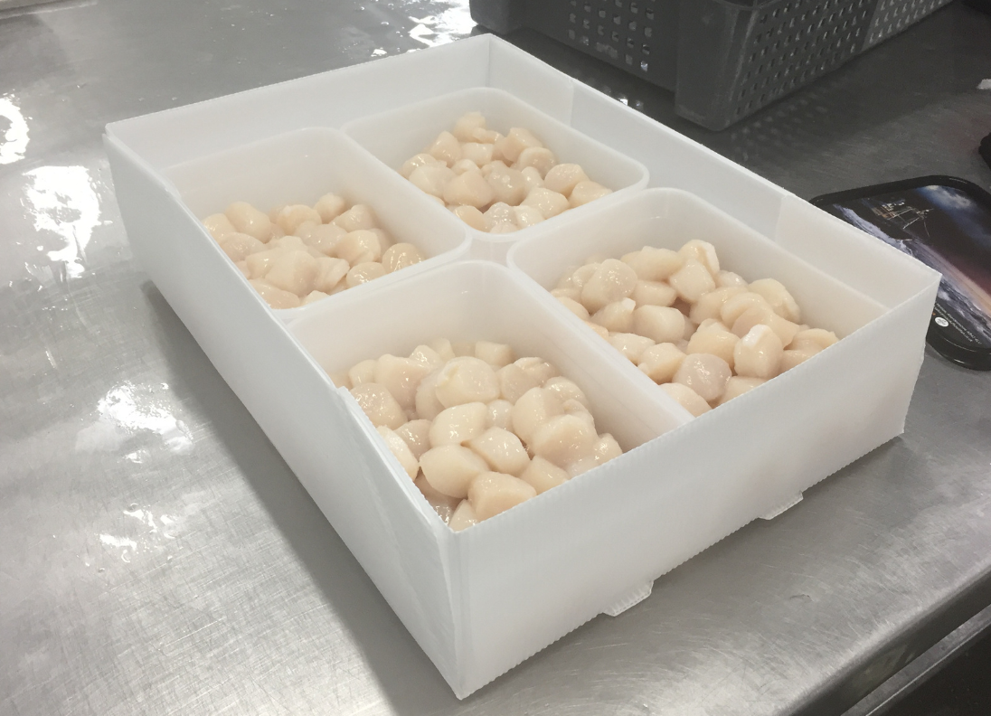 Packaging for scallops 4x2kg box