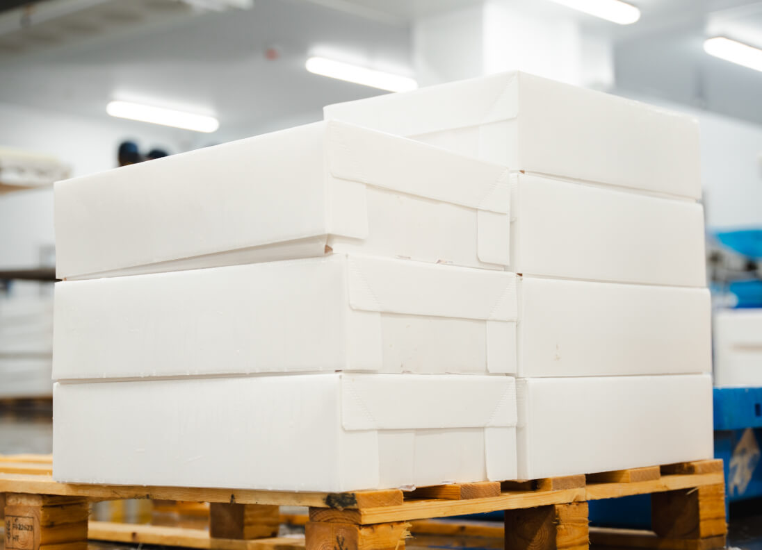 White label CoolSeal boxes. Sample packaging for Seafood distribution and cold chain shipping.
