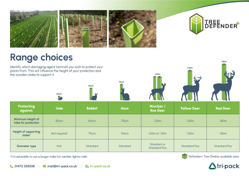 Tree Defenders tree shelters infographic
