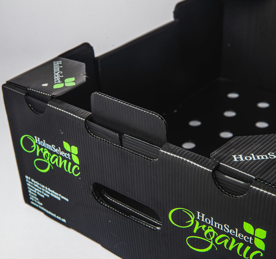 Holmselect Organic Box