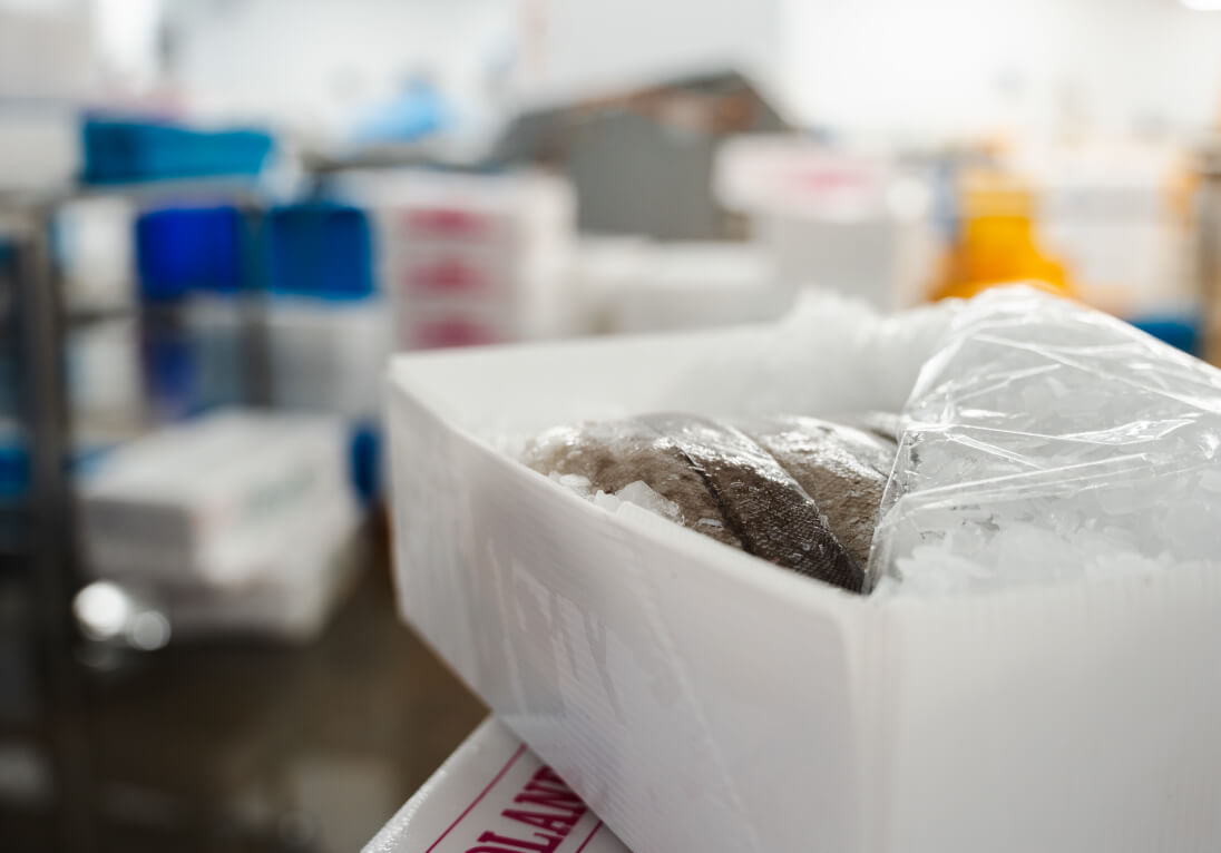 Fish fillets in a CoolSeal box manufactured by Tri Pack for Midland Fish Co.
