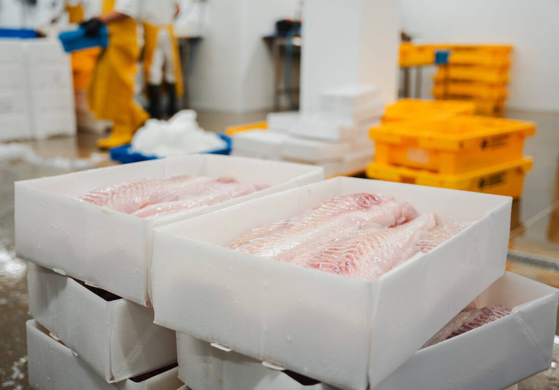 Haddock fillets shown in a CoolSeal box manufactured by Tri Pack