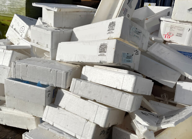 Polystyrene boxes shown piled ready for disposal
