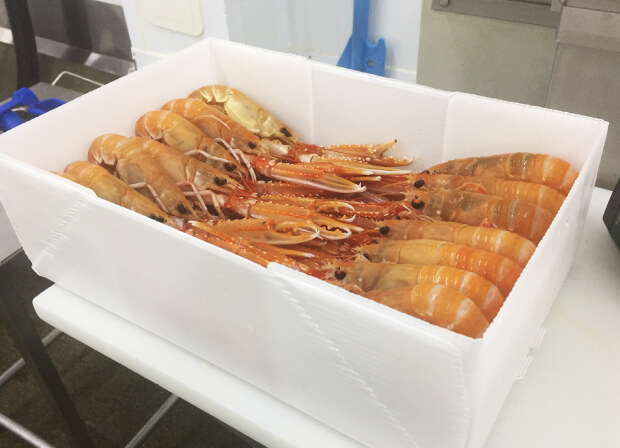 Langoustines in a CoolSeal box by Tri Pack