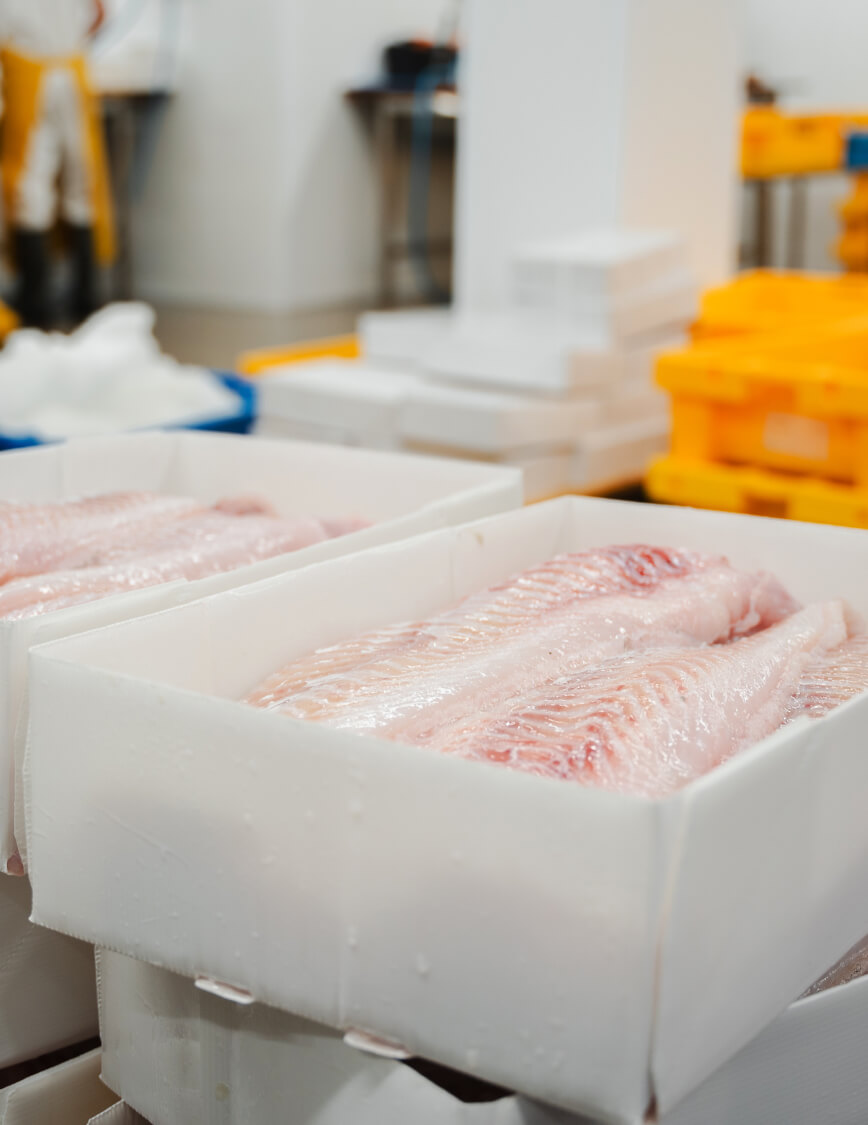 Haddock fillets shown in a CoolSeal box manufactured by Tri Pack