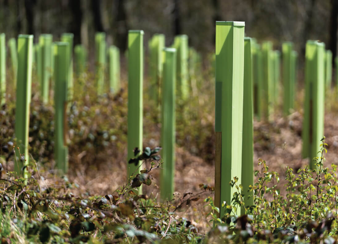 Tree Defender + tree shelters by Tri Pack - Close up