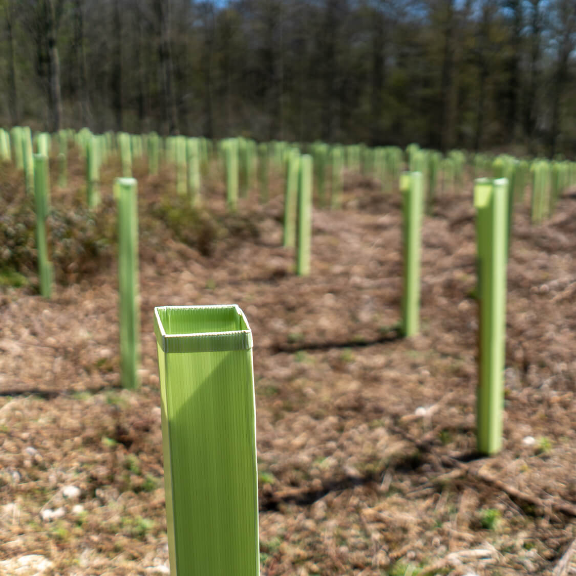 Tree Defender + tree shelters by Tri Pack